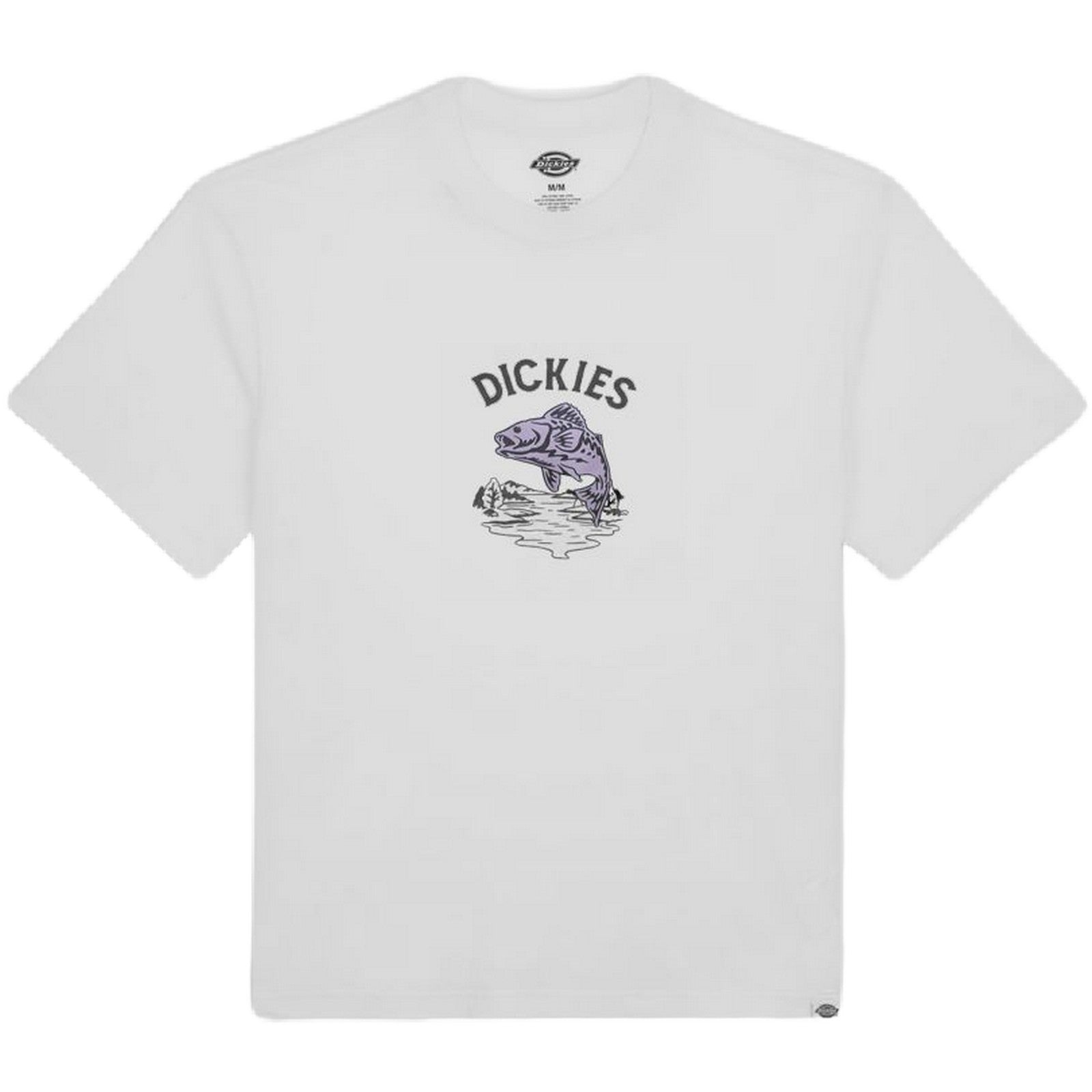 Dickies T-Shirt Dumfries Tee SS