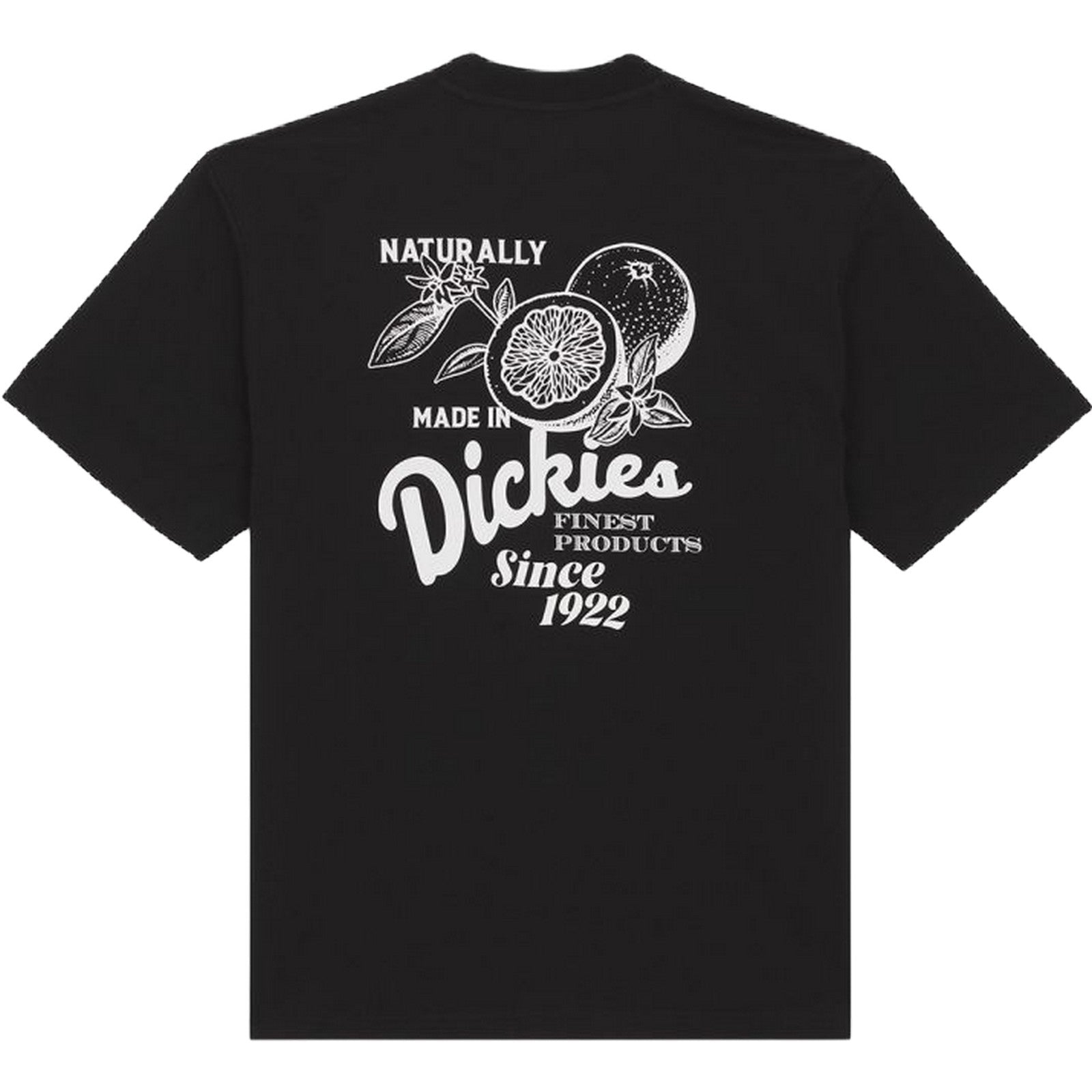 Dickies T-Shirt Raven tee SS